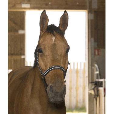 Capestro Norton Reflective Nero Capestro Norton Reflective Nero