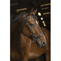 Side-pull Norton Pro Comfort Nero Side-pull Norton Pro Comfort Nero