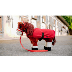 Mini-coperte Pony Academy Rosso