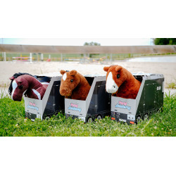 Mini-pony Poly Pony Academy Bicolore Mini-pony Poly Pony Academy Bicolore