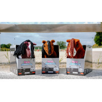 Mini-pony Poly Pony Academy Bicolore