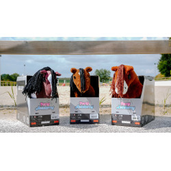 Mini-pony Poly Pony Academy Bicolore Mini-pony Poly Pony Academy Bicolore