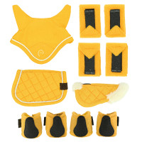 Set mini accessori Pony Academy Giallo