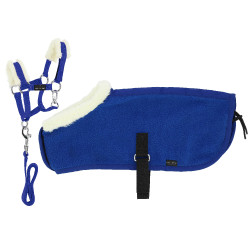 Set mini cavezza+copertina Pony Academy Blu reale