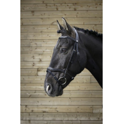 Briglia Norton Pro Intagliata