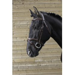 Briglia Norton Pro Intagliata Avana Marrone