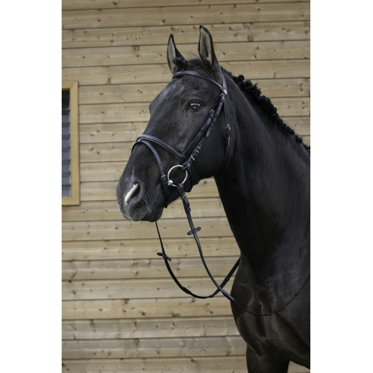 Briglia Riding World Capezzina combinata