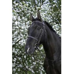 Briglia Riding World Capezzina francese Briglia Riding World Capezzina francese