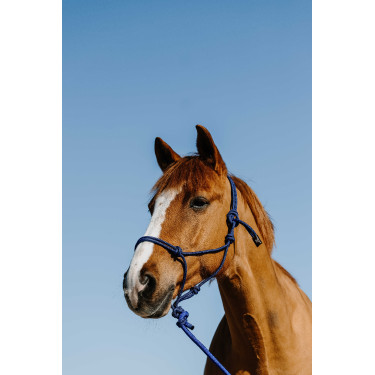 Capestro etologico + longhina Norton Duo Blu / nero