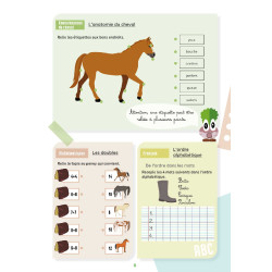 Il mio quaderno di attività Lavauzelle livello CP