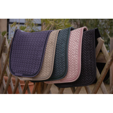 Sottosella Paddock Poppy