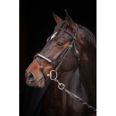 Briglia Pénélope Symphonie Nero