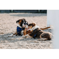 Pettorina per cane Riding World Simba Marina Blu marino Pettorina per cane Riding World Simba Marina Blu marino