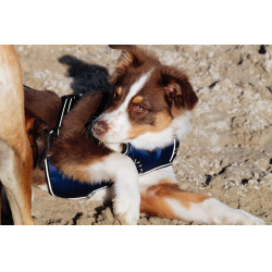 Pettorina per cane Riding World Simba Marina Blu marino Pettorina per cane Riding World Simba Marina Blu marino