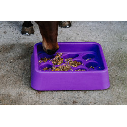 Mangatoia anti-ingozzamento Hippotonic Viola