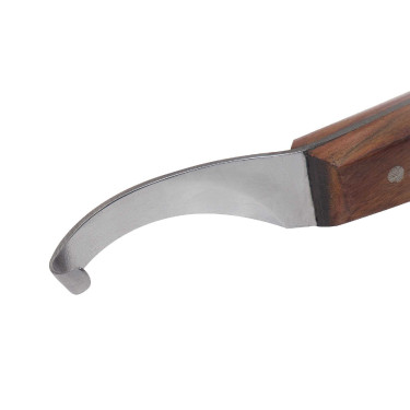 Renetta arcuata Michel Vaillant Renetta arcuata Michel Vaillant