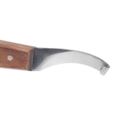 Renetta arcuata Michel Vaillant Renetta arcuata Michel Vaillant