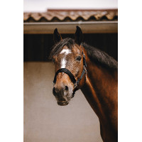 Capestro in nylon Equithème Jacquard Nero