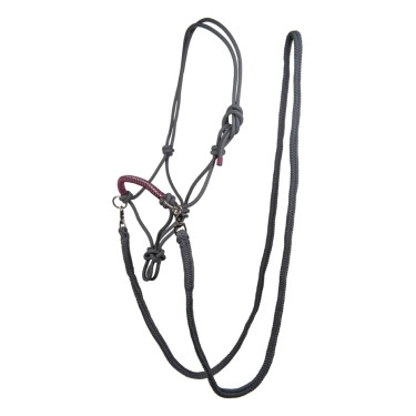 Capestro etologico Strass con redini / longhe HKM Grigio / uva