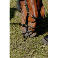 Capezzina Educativa Norton Nero Capezzina Educativa Norton Nero