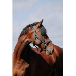 Capezzina Riding World Cushion Marina Blu marino