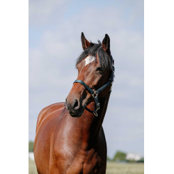 Capezzina Riding World Cushion Marina Blu marino