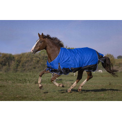 Coperta Equithème Tyrex Aisance 1200D Blu reale Coperta Equithème Tyrex Aisance 1200D Blu reale