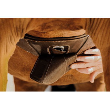 Sottopancia anatomico Magnet Norton Avana Marrone