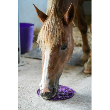 Pasta da leccare Likit Graze Paste