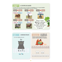 Il mio quaderno di attività livello CM2 Lavauzelle Il mio quaderno di attività livello CM2 Lavauzelle