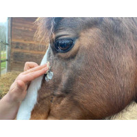 Crème Animaderm Derfen™ Clear Crème Animaderm Derfen™ Clear