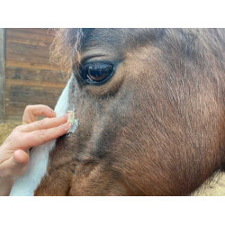 Crema Animaderm Derfen™ Clear Crema Animaderm Derfen™ Clear