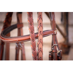 Bridon Hunter US Pénélope Nocciola / havana