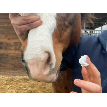 Protezione solare Animaderm Solaren Protezione solare Animaderm Solaren