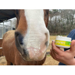 Protezione solare Animaderm Solaren Protezione solare Animaderm Solaren