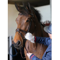 Guanti per la pulizia Belvoir® Carr & Day & Martin Tack Cleaner Bianco Guanti per la pulizia Belvoir® Carr & Day & Martin Tack Cleaner Bianco