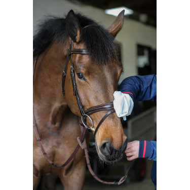 Guanti per la pulizia Belvoir® Carr & Day & Martin Tack Cleaner Bianco Guanti per la pulizia Belvoir® Carr & Day & Martin Tack Cleaner Bianco