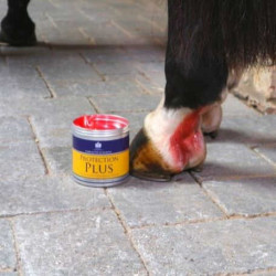 Crema protettiva Carr & Day & Martin Protection Plus