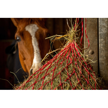 Rete per fieno Hippotonic Zari Rosso / argentato