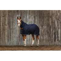 Camicia Equithème Micro mesh combo Blu navy