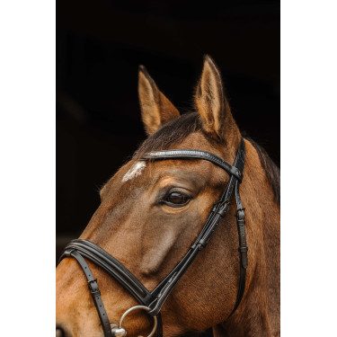 Bridon Norton Pro Galon Nero