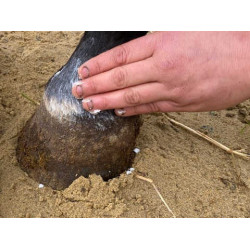 Balsamo Animaderm Natjely