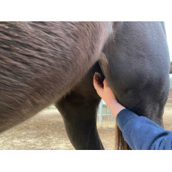 Balsamo Animaderm Natjely