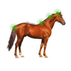 Lozione Animaderm Originale