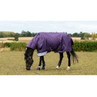 Coperta impermeabile LeMieux Arika Ripstop 200g Ginepro Viola Coperta impermeabile LeMieux Arika Ripstop 200g Ginepro Viola