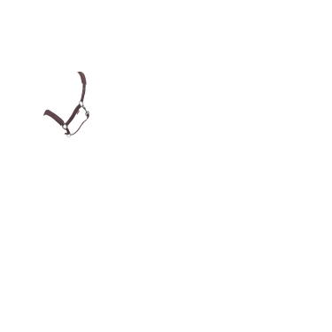 Licol LeMieux Essence Prugna Viola