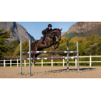 Tapis Eurojump LeMieux Essence Square Prugna Viola