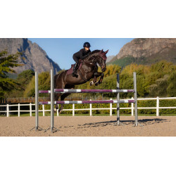 Tapis Eurojump LeMieux Essence Square Prugna Viola