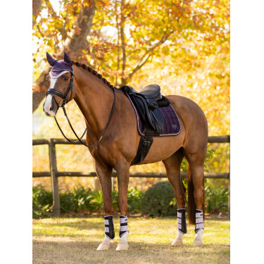 Sottosella LeMieux Merino Loire Classic Dressage Square Sottosella LeMieux Merino Loire Classic Dressage Square