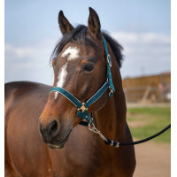 Capezzina Equithème Nylon light Verde scuro Capezzina Equithème Nylon light Verde scuro